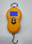 Весы безмен 50кг/10г WH-A04 Весы безмен 50кг/10г WH-A04